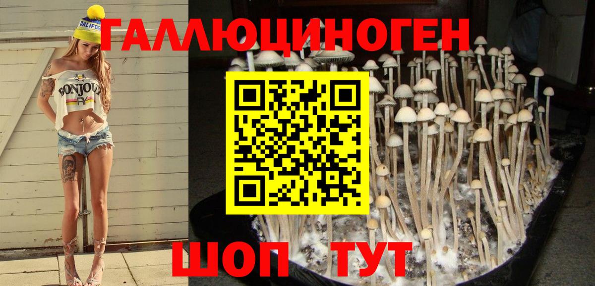 Псилоцибиновые грибы ЛСД Городец