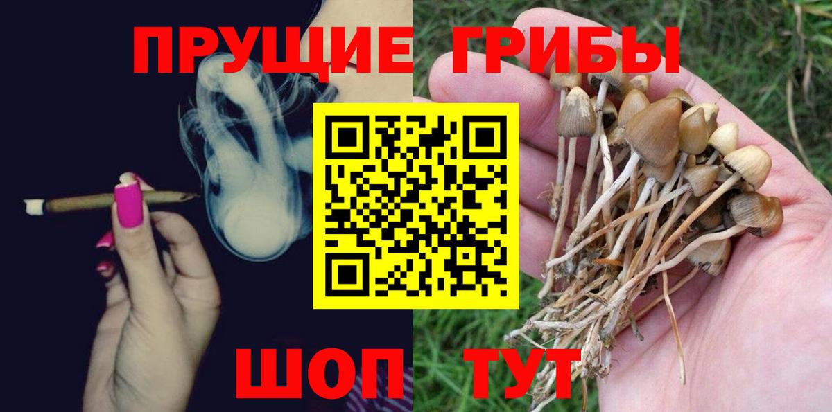 Галлюциногенные грибы MAGIC MUSHROOMS  Галлюциногенные грибы Cubensis  Вход с VPN  Городец 
